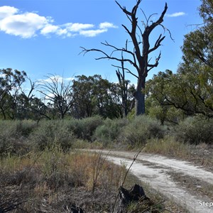 Goat Island