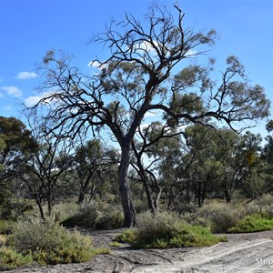 Causeway Island