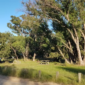 Lush after rain