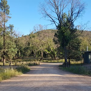 View toward Weddin Mountain