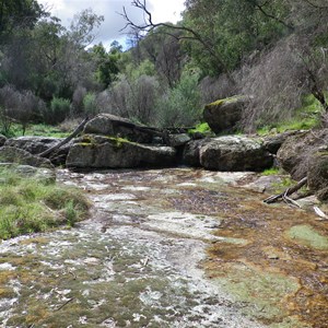 Along Lynch's Loop