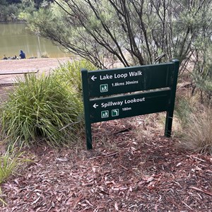 St Georges Lake Picnic Area