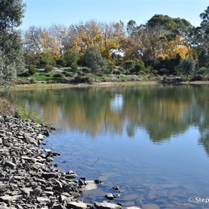 Gleeson Wetlands