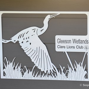 Gleeson Wetlands