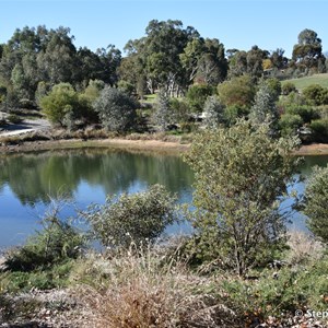 Gleeson Wetlands