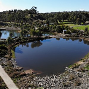 Gleeson Wetlands