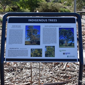 Gleeson Wetlands