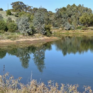 Gleeson Wetlands