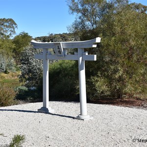 Gleeson Wetlands