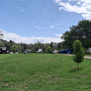 Jugiong Showground Camping Reserve (7 days)