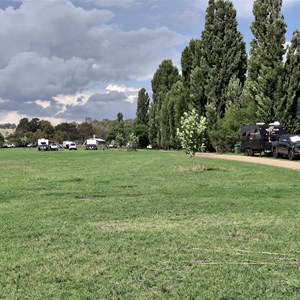 Jugiong Showground Camping Reserve (7 days)