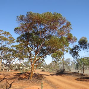 Camping area Sept 2018