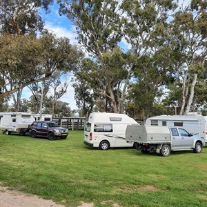 Showground camping area