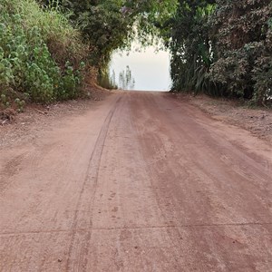 Munbililla (Tomato Island) Camp