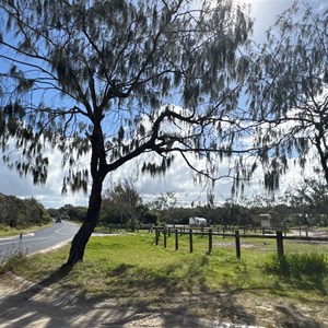 SS Dorrigo Campground