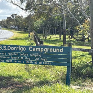 SS Dorrigo Campground