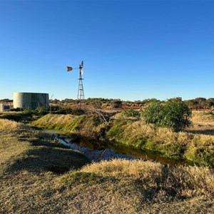 Camp right beside the well