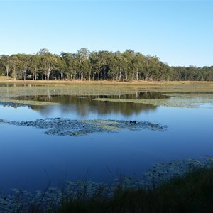 Lake Kurwongbah near Forgedale Brisbane Farmstay