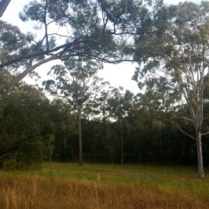 Lake Kurwonbah Camp