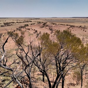 Scrammy Lookout