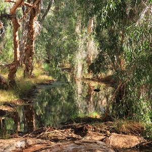Skull Springs Camp
