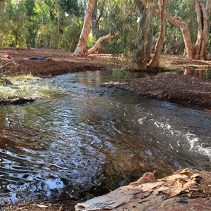 Skull Springs Camp
