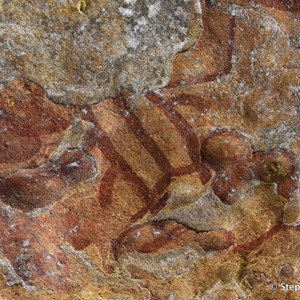 Aboriginal Rock Art Site