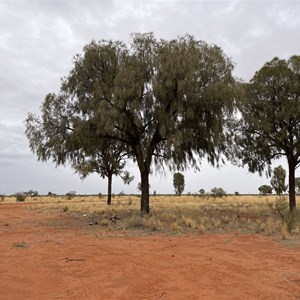 Communication Tower Bush Camp