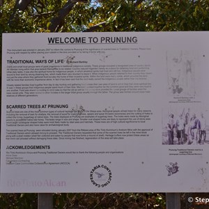 Prunung Aboriginal Scarred Trees