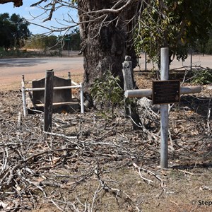 Musgrave Historic Graves 