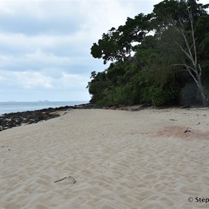 Muttee Head Turtle Nesting Beach