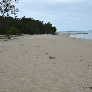 Muttee Head Turtle Nesting Beach