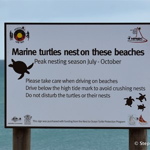 Muttee Head Turtle Nesting Beach