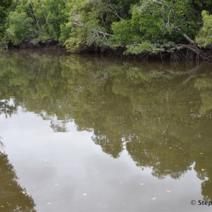 Fish Bone Creek Boat Ramp