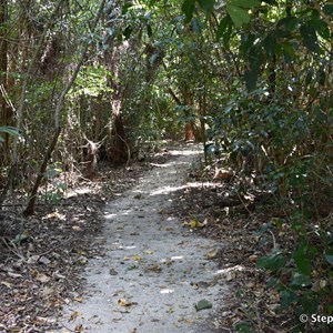 Kurrimine Beach Conservation Park