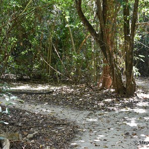 Kurrimine Beach Conservation Park