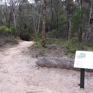 Mt Magog trailhead