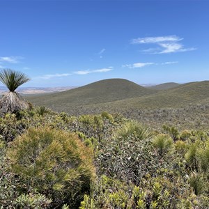 Central Lookout