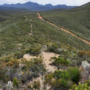 Central Lookout