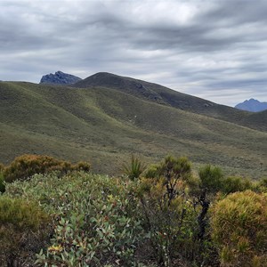 Central Lookout