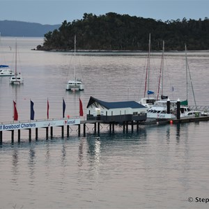 Lions Scenic Lookout