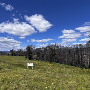 Lawrence Lookout