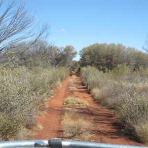 Overgrown and narrow
