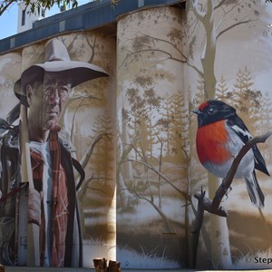 Wirrabara Silo Art 