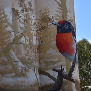 Wirrabara Silo Art 