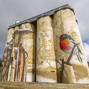 Wirrabara Silo Art