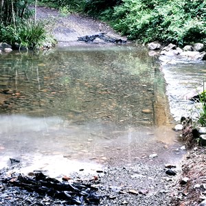 Currawong Camping Area