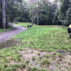 Currawong Camping Area