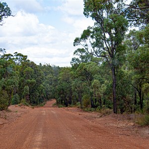 Nice easy forest drive