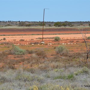 Emu Junction Airstrip - 2013